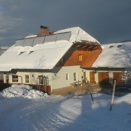 Haus Schober Apartment Windischgarsten Exterior foto