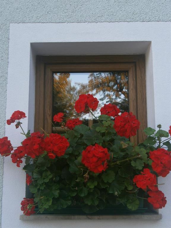 Haus Schober Apartment Windischgarsten Exterior foto